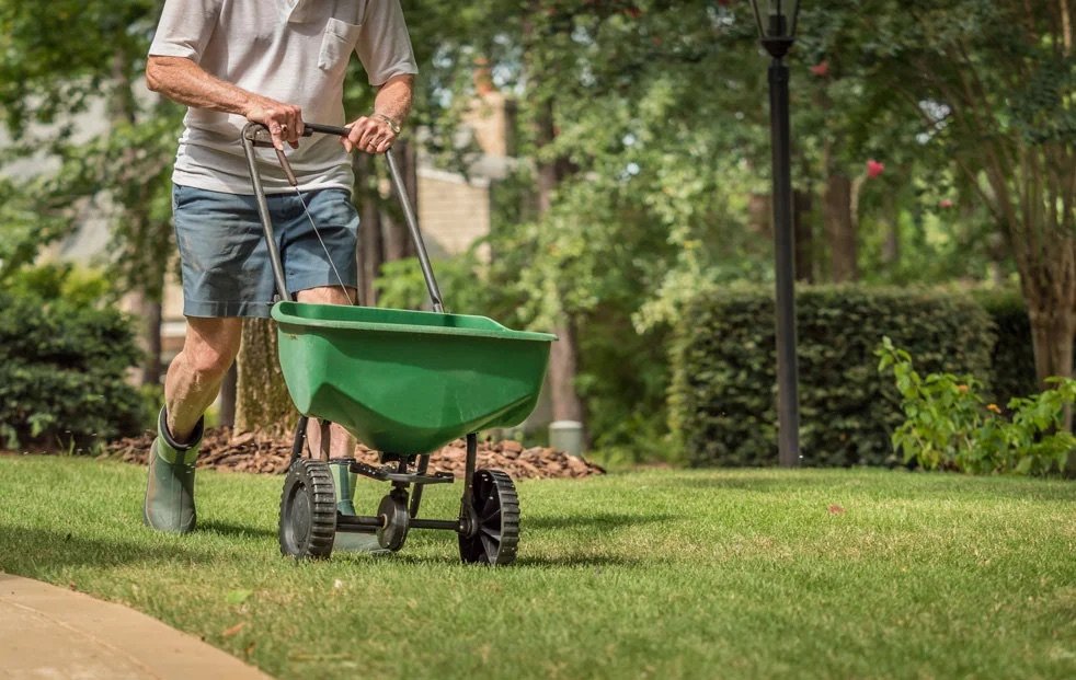 Technician pushing a green broadcast spreader across a healthy residential lawn
