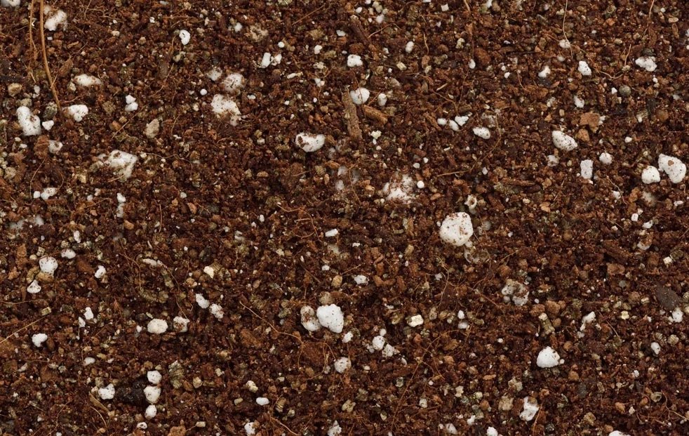 Close-up of soil amendment mix with dark organic matter and white perlite