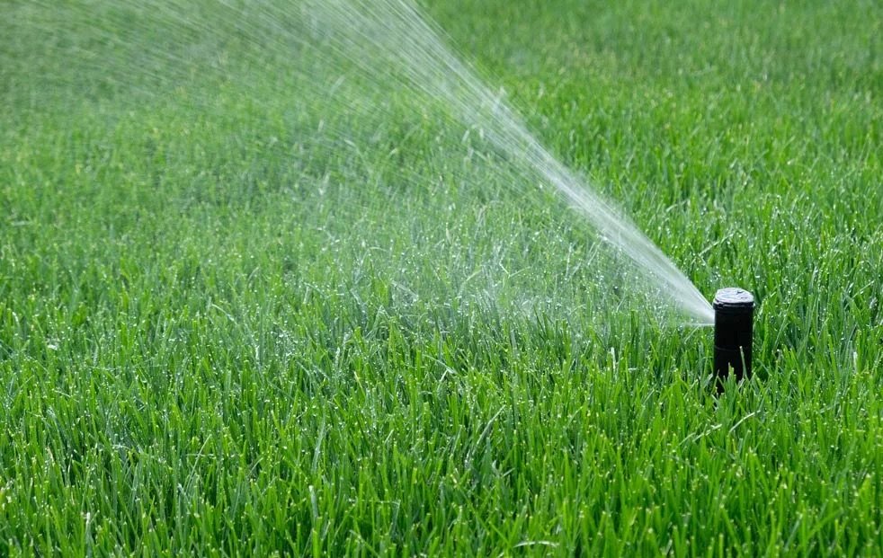 Pop-up sprinkler head spraying water across a green lawn